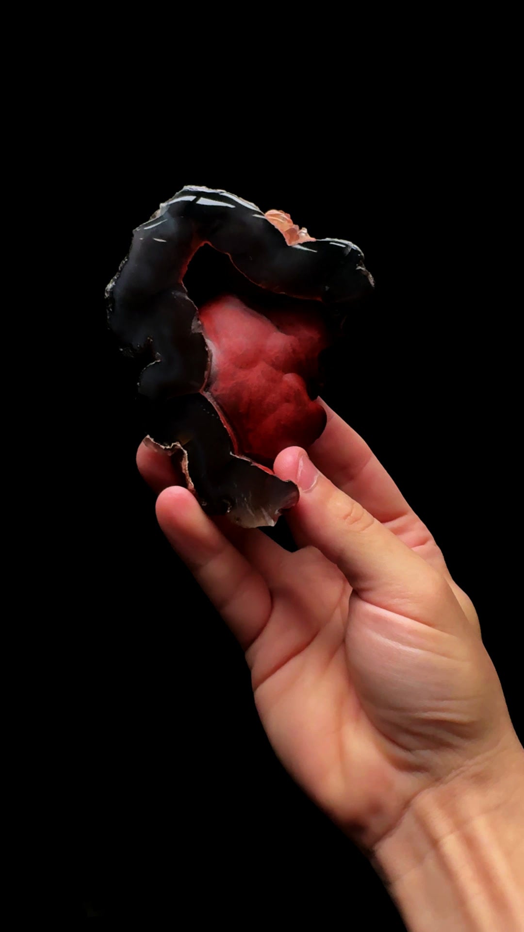 0759- Red Fox Agate