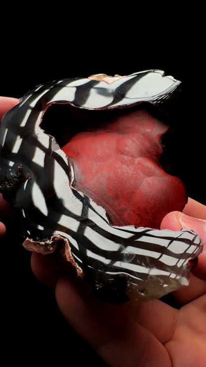 0759- Red Fox Agate
