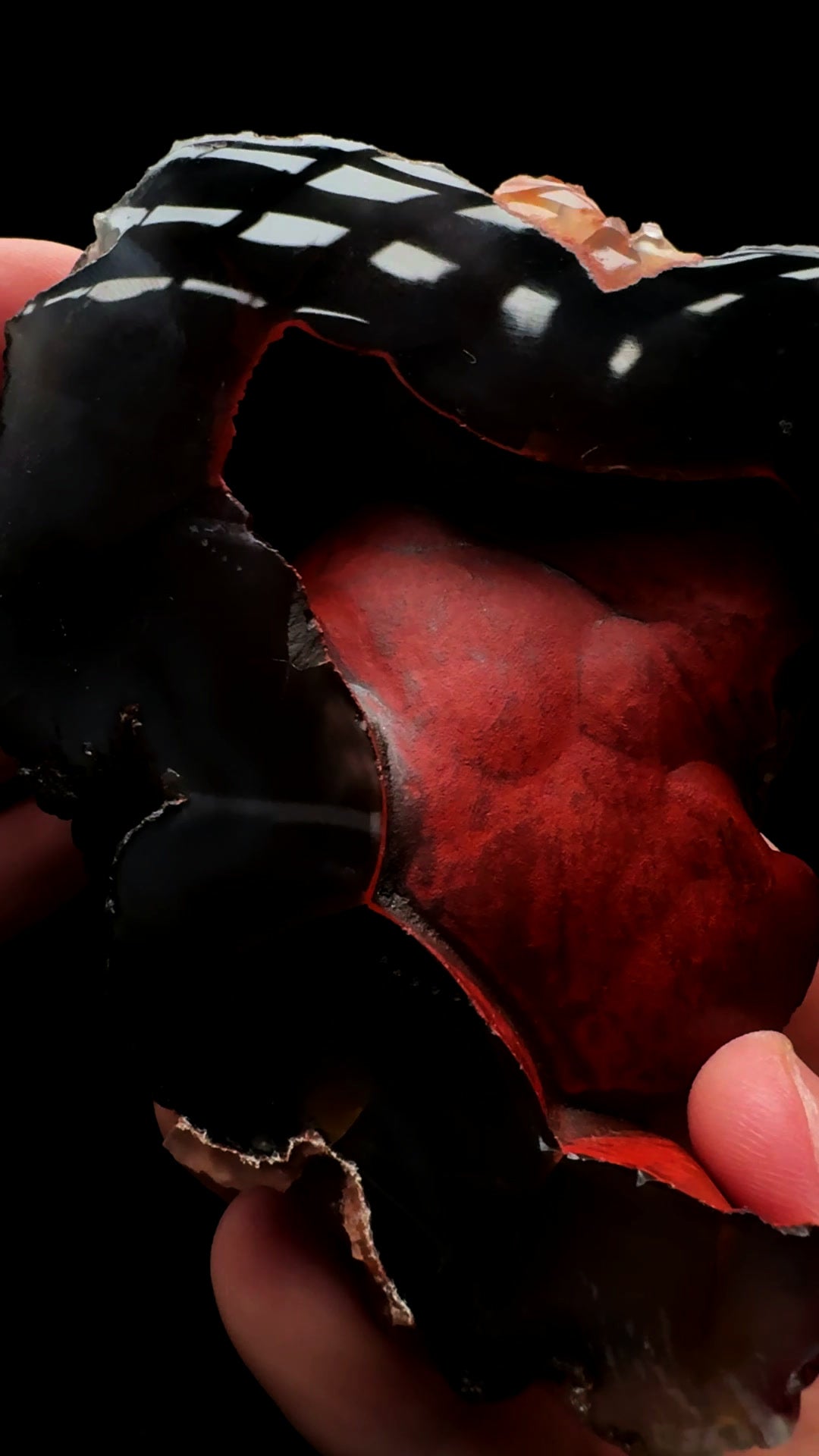 0759- Red Fox Agate
