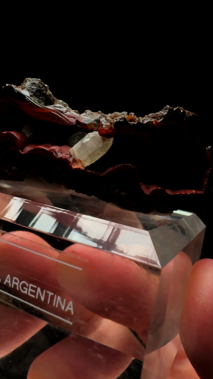 0763- Red Fox Agate