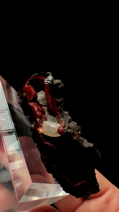 0763- Red Fox Agate