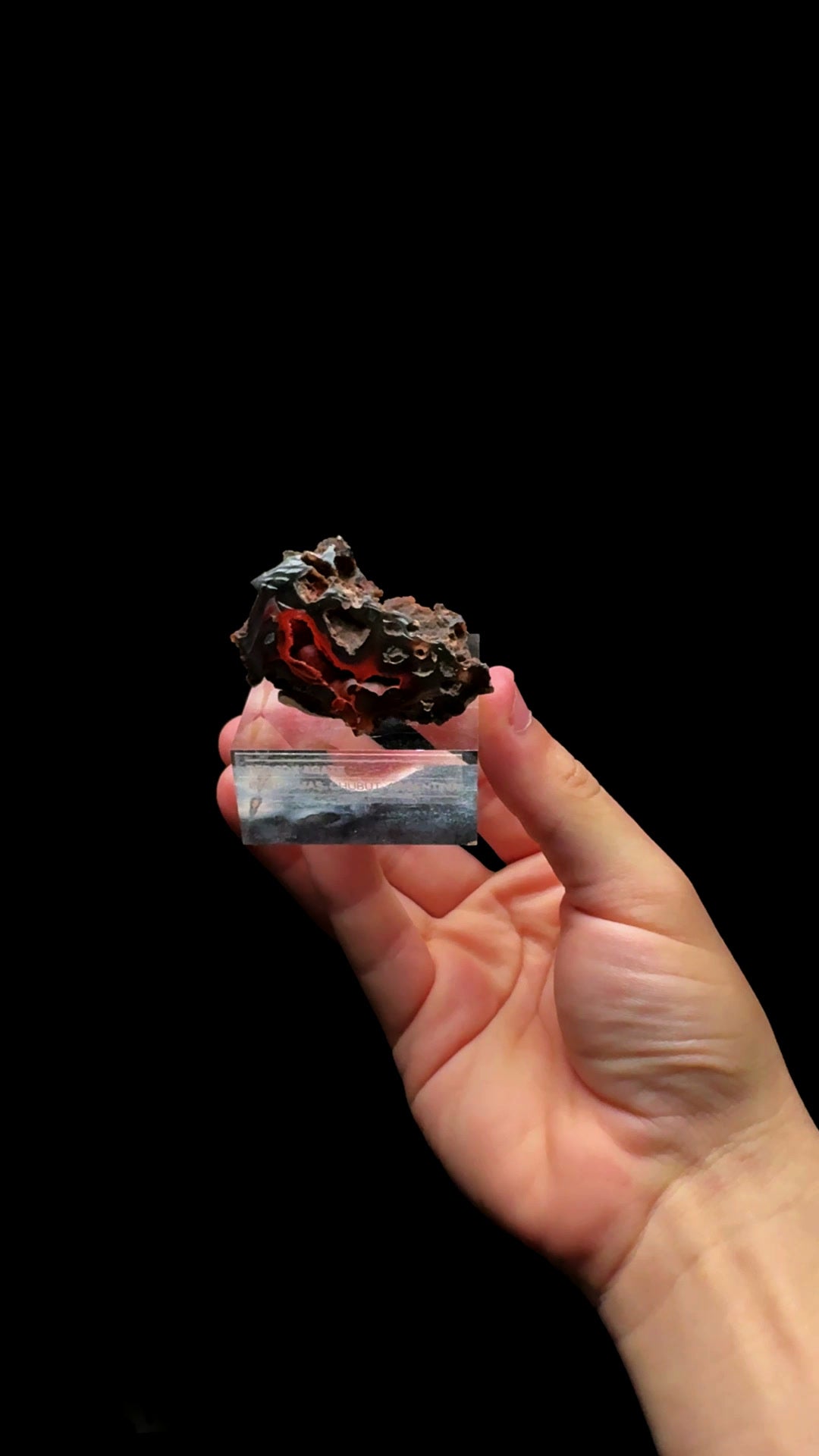 0766- Red Fox Agate