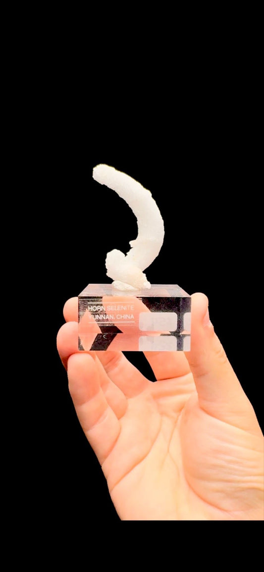 708- Horn Selenite