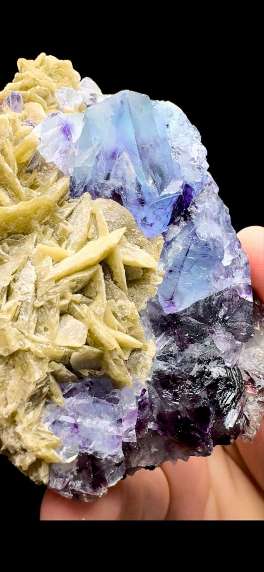 490- Fluorite With Mica