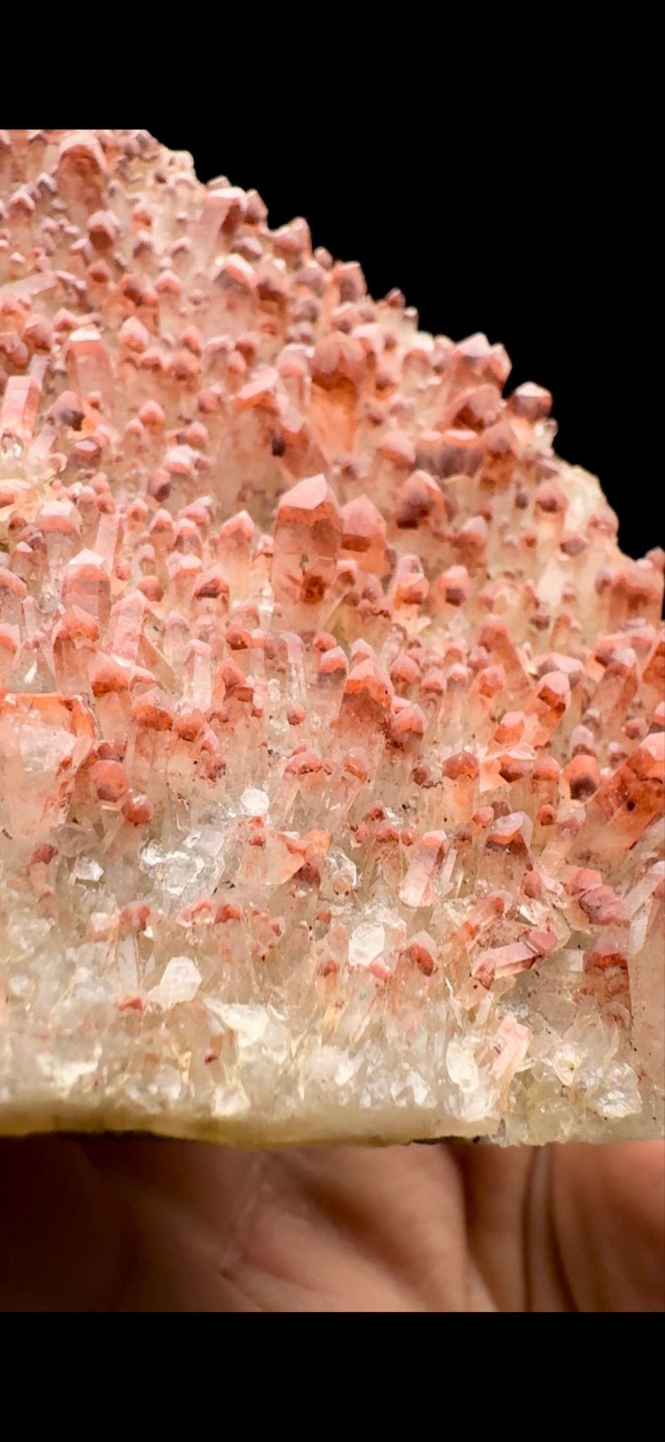 710- Red Quartz
