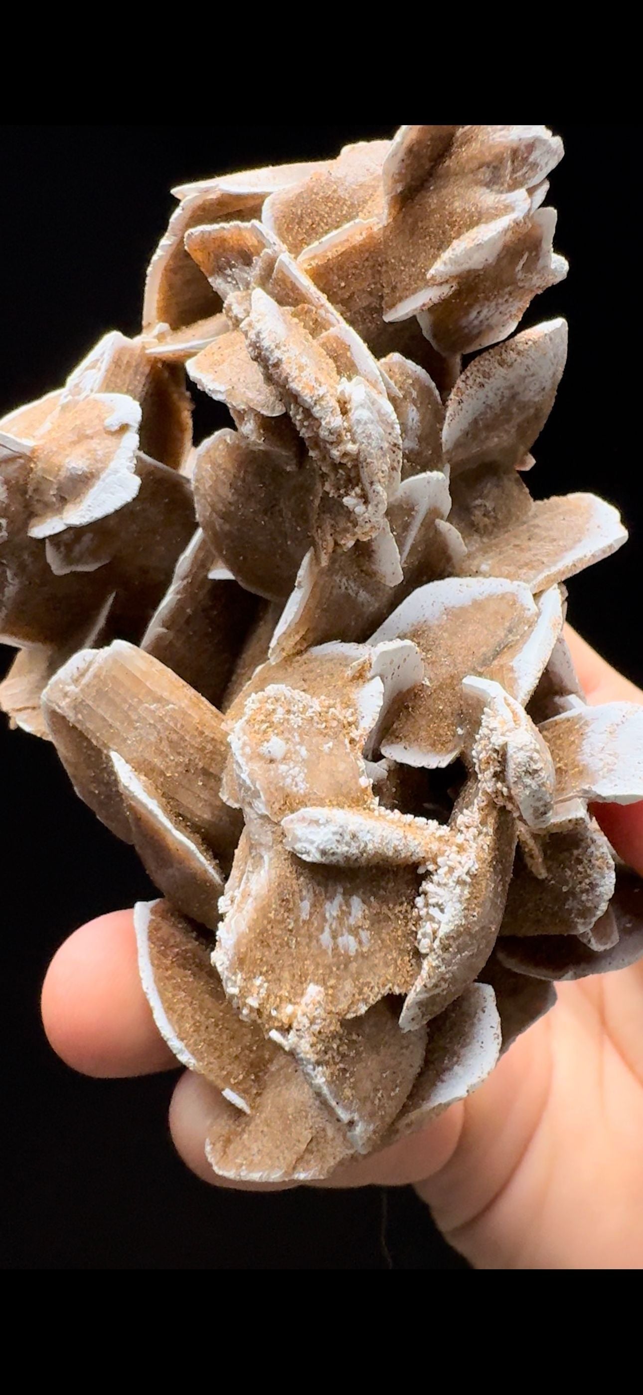 316- Sand Gypsum