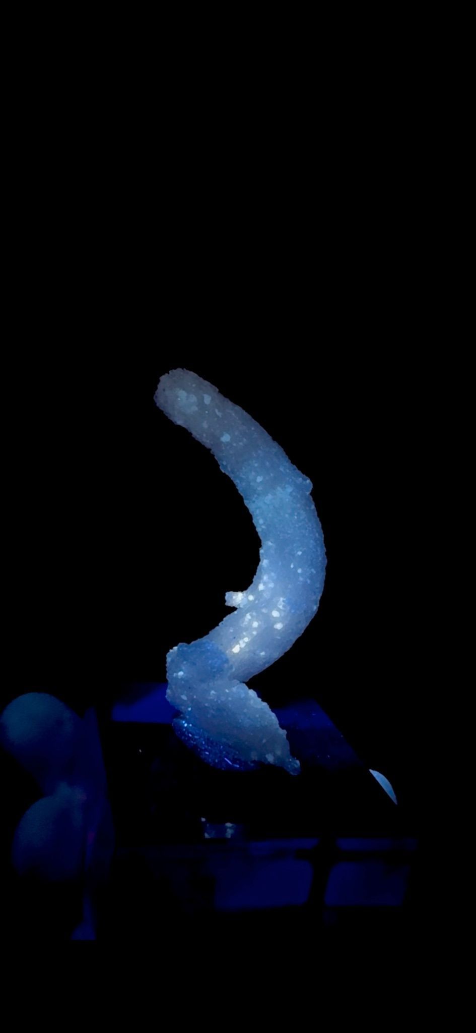 708- Horn Selenite