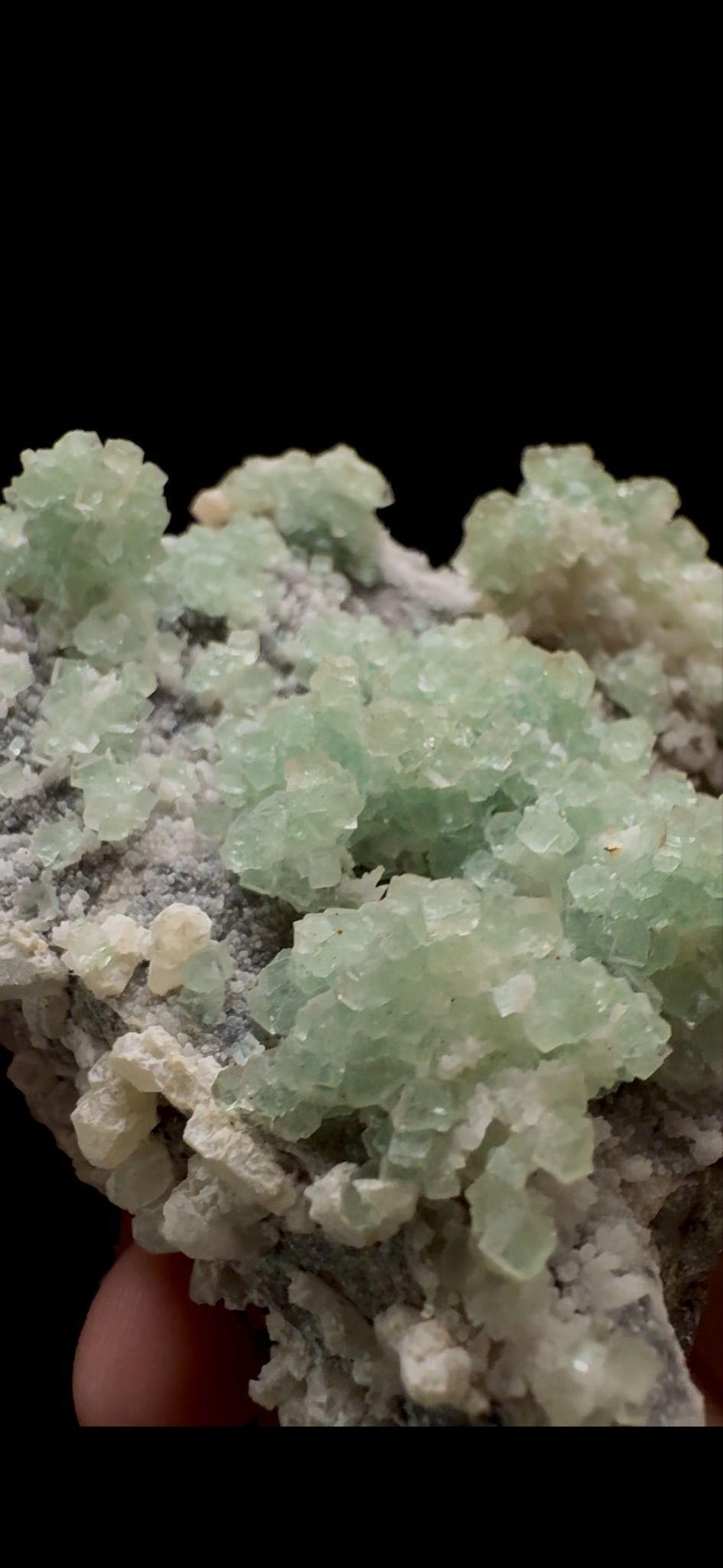 0292- Botryoidal Fluorite with Calcite