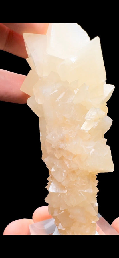 459- Aragonite