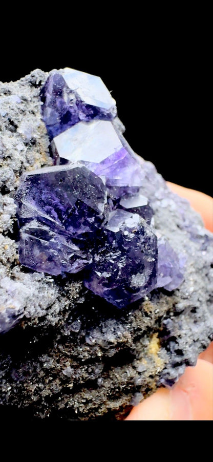 621- Tanzanite Fluorite