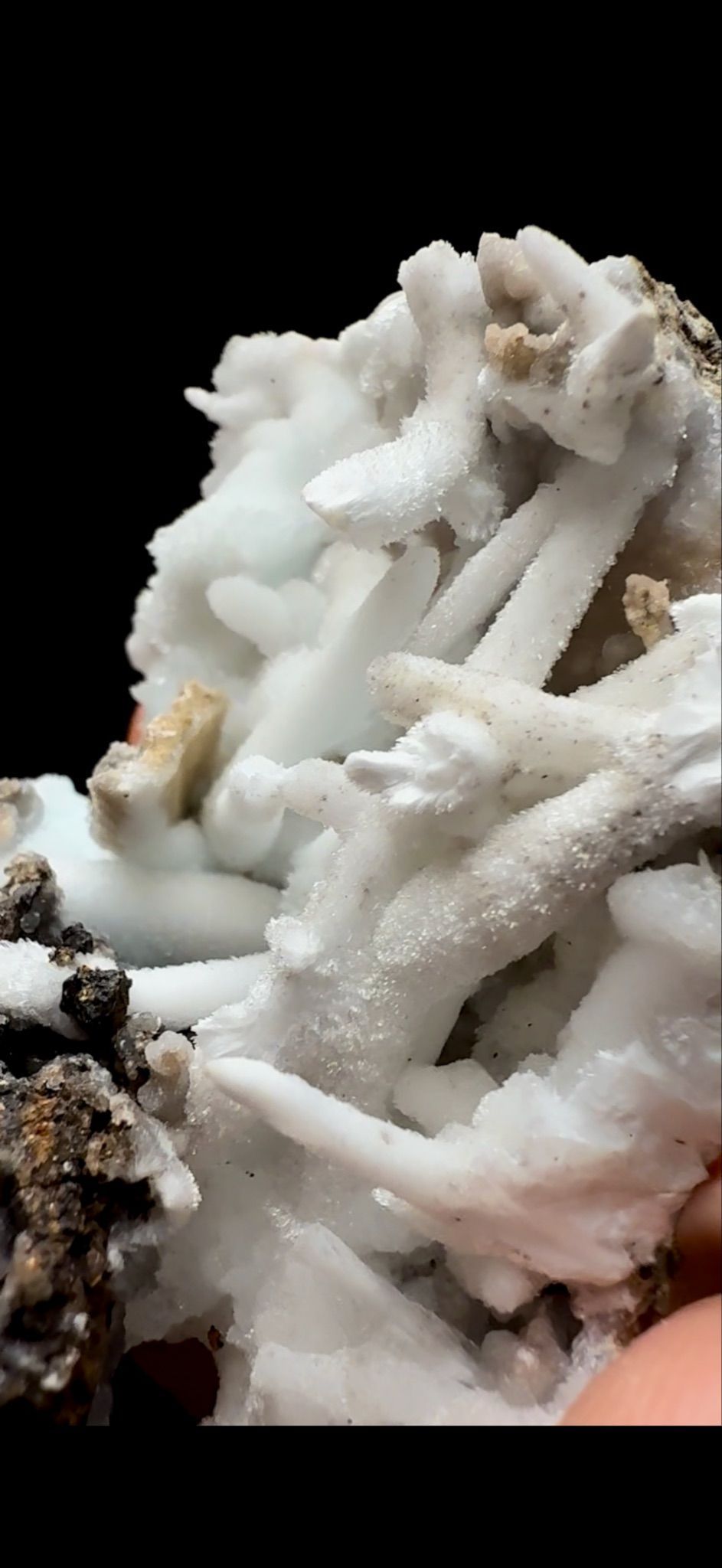 0401- Aragonite