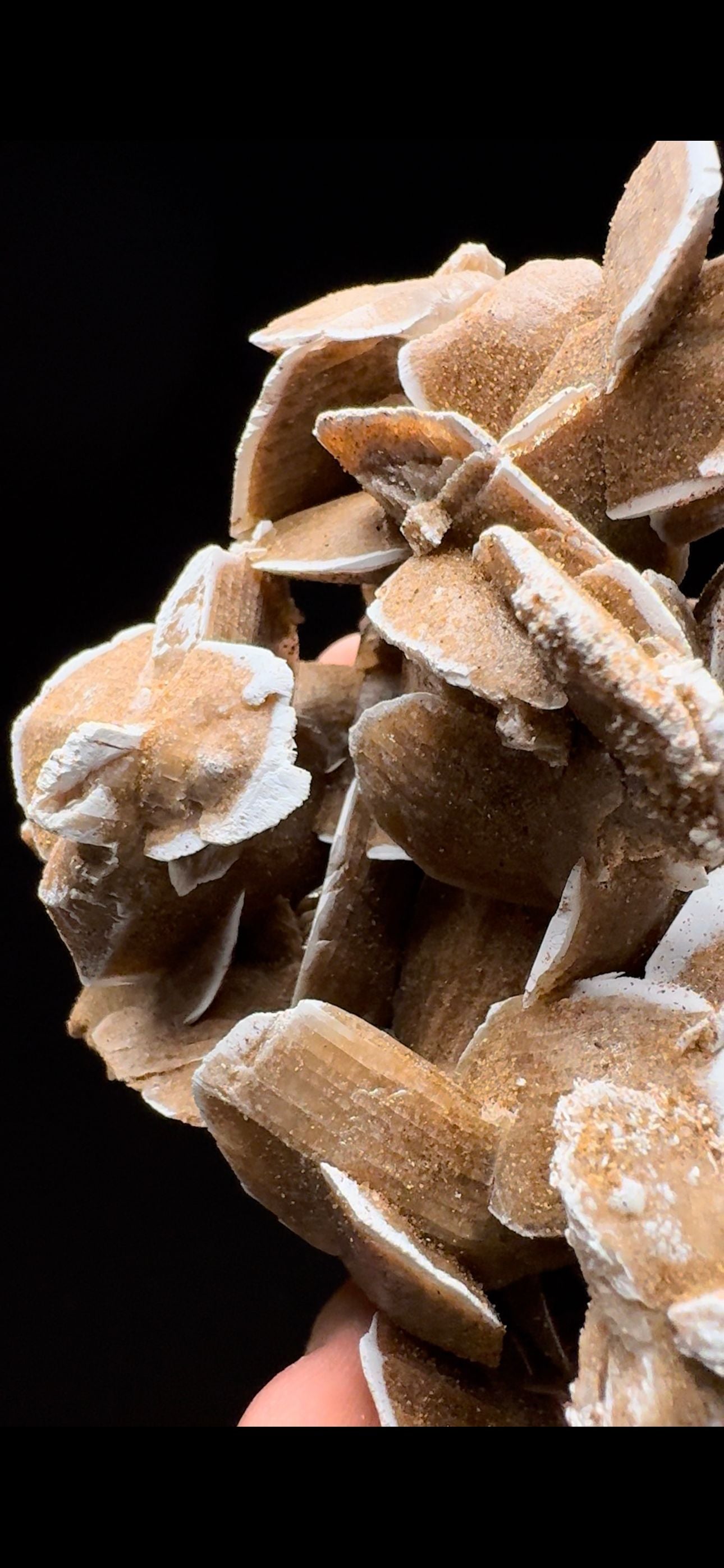 316- Sand Gypsum