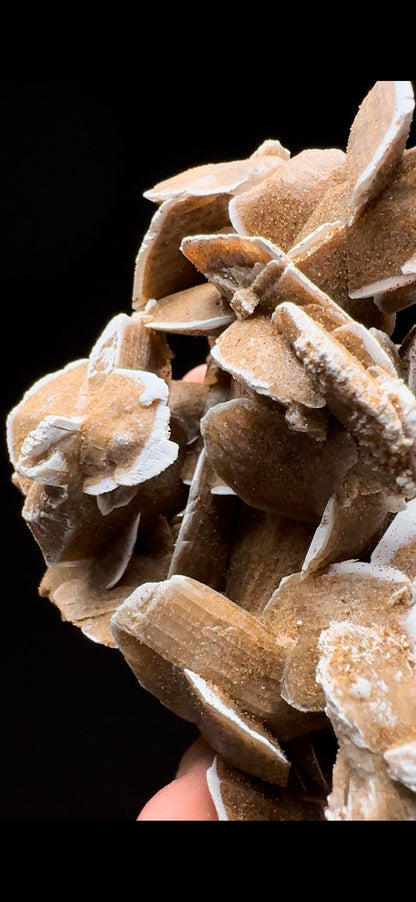 316- Sand Gypsum