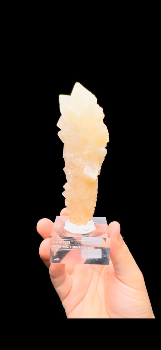459- Aragonite
