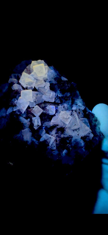 709- Fluorite on Calcite