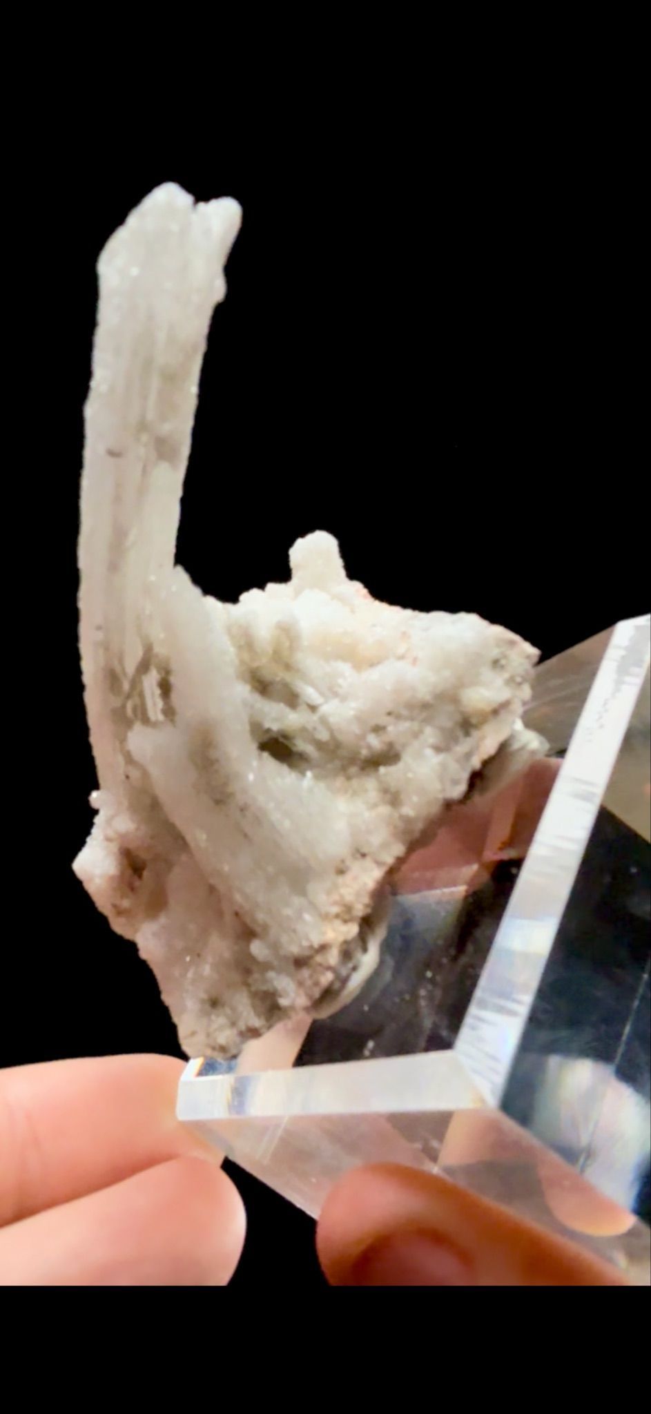 853- Horn Selenite