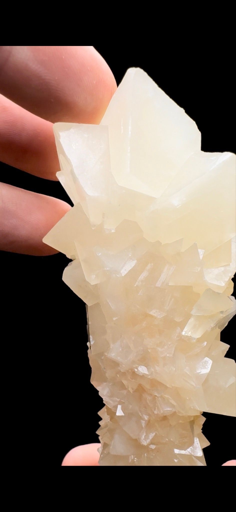 459- Aragonite