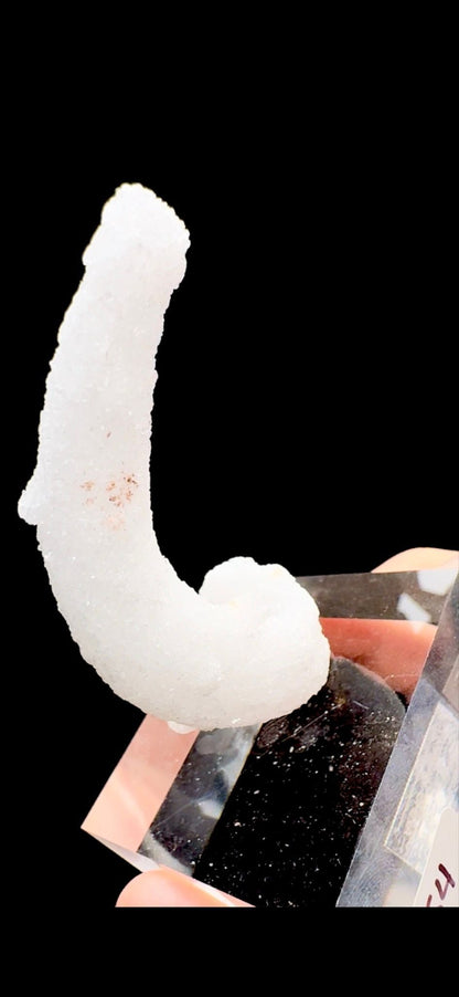 708- Horn Selenite