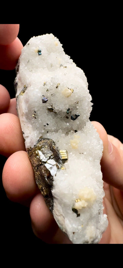 080- Pyrite on Quartz