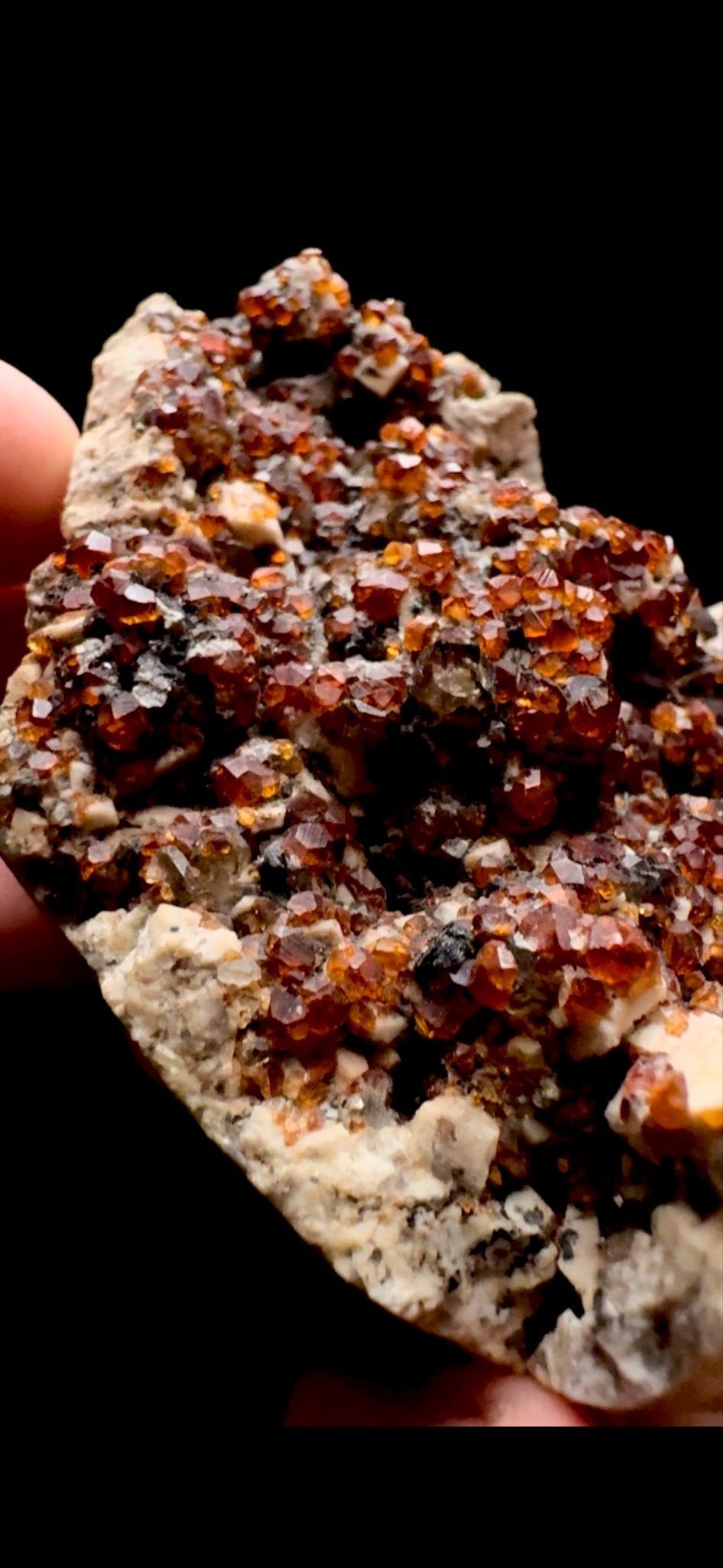 0315- Garnet on Smokey Quartz