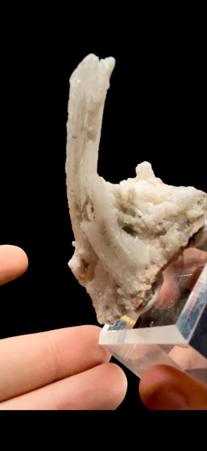 853- Horn Selenite