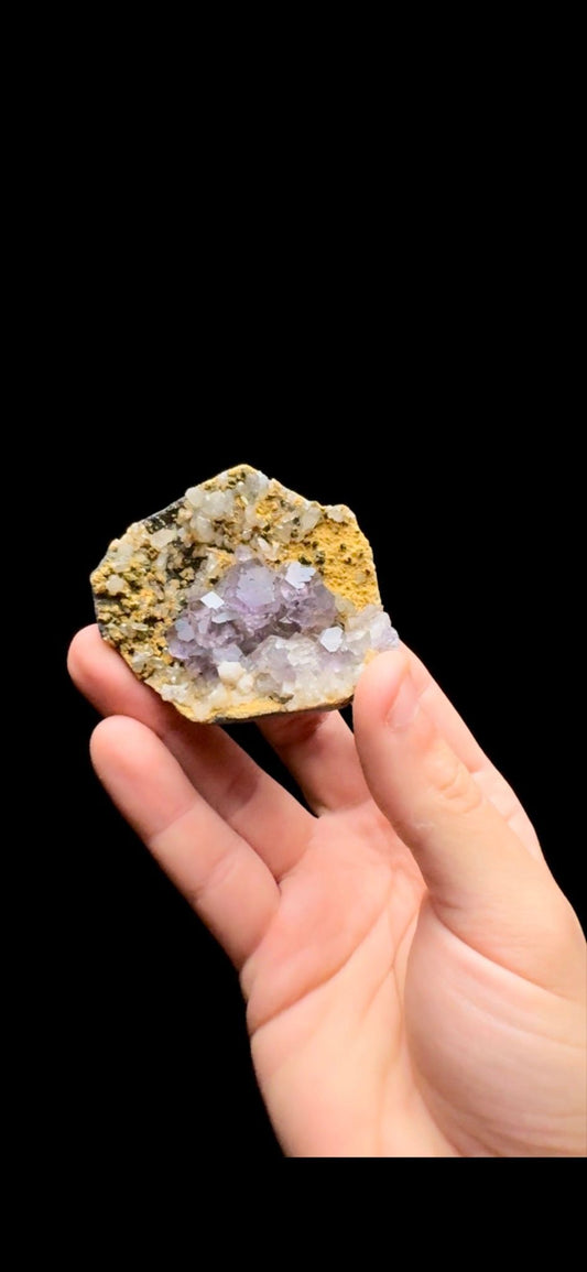 0473- Tanzanite Fluorite