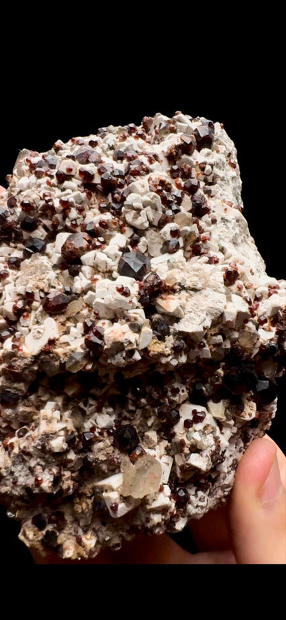 0450- Garnet on Smokey Quartz