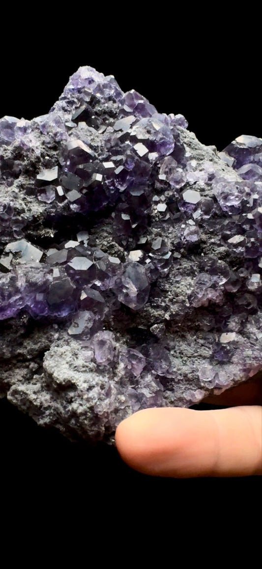 0408- Tanzanite Fluorite