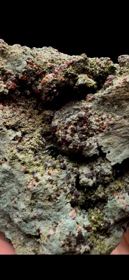 210- Epidote with Garnet