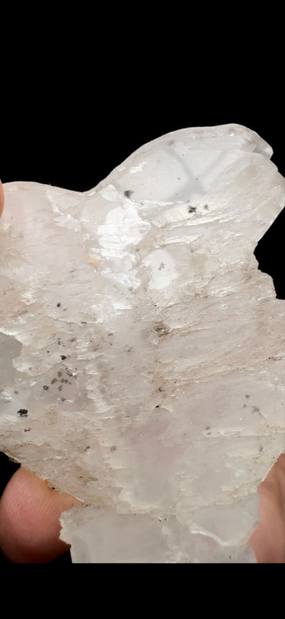 115- Fish Tail Selenite