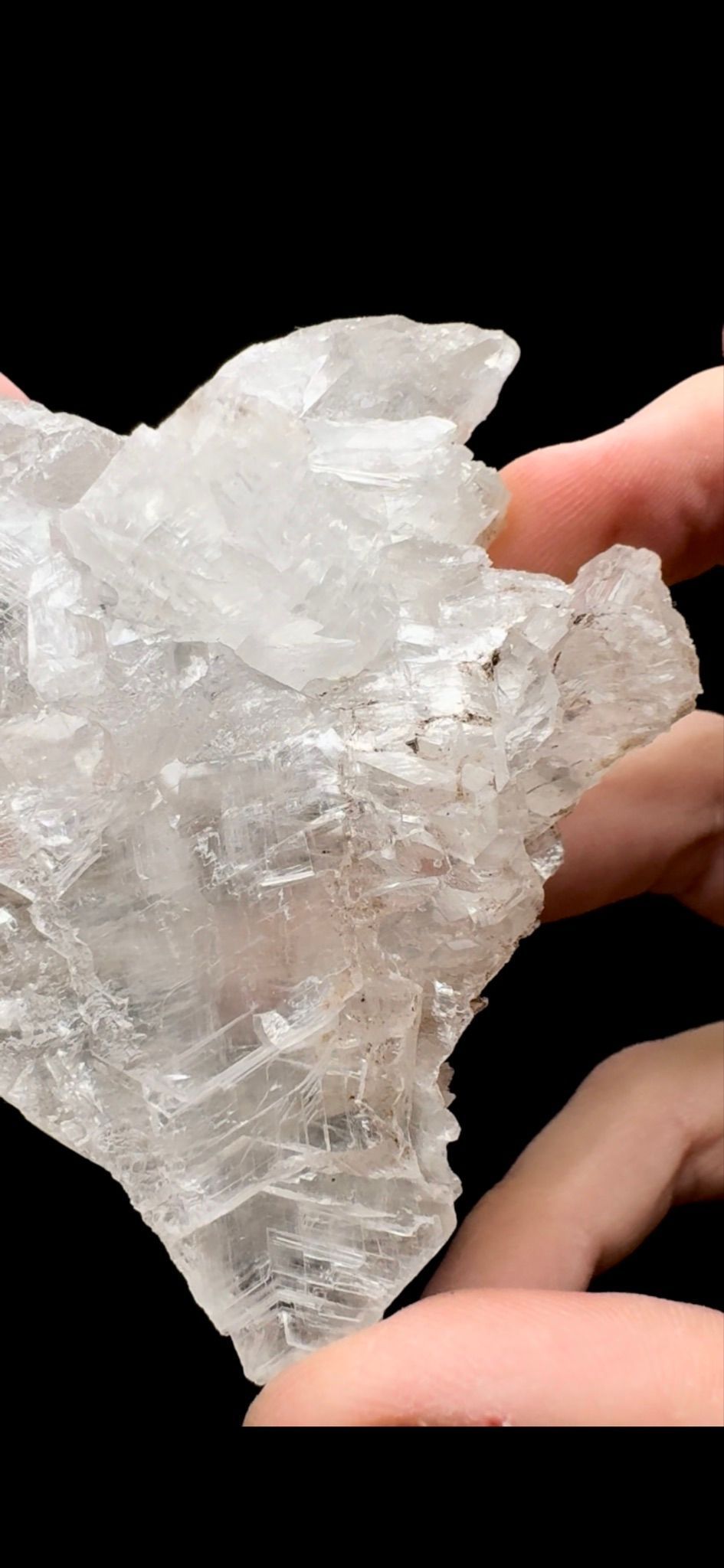 115- Fish Tail Selenite