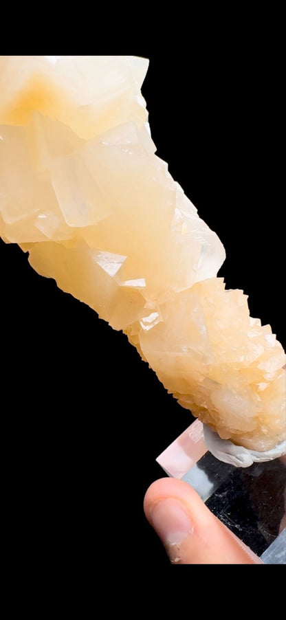 459- Aragonite