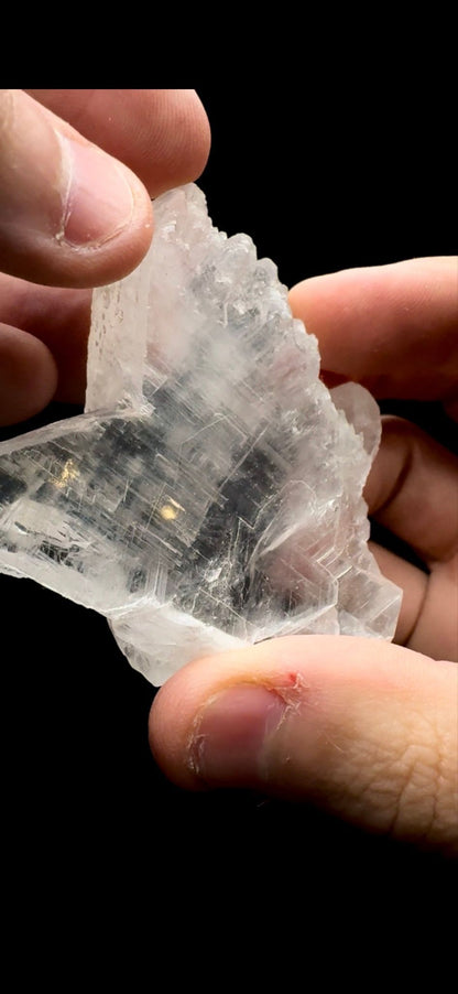 116- Fishtail Selenite