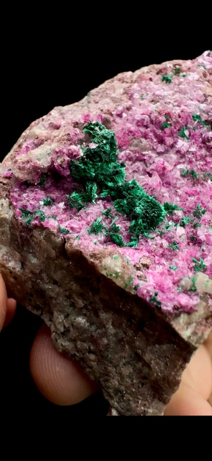 0308- Cobalt Dolomite with Malachite