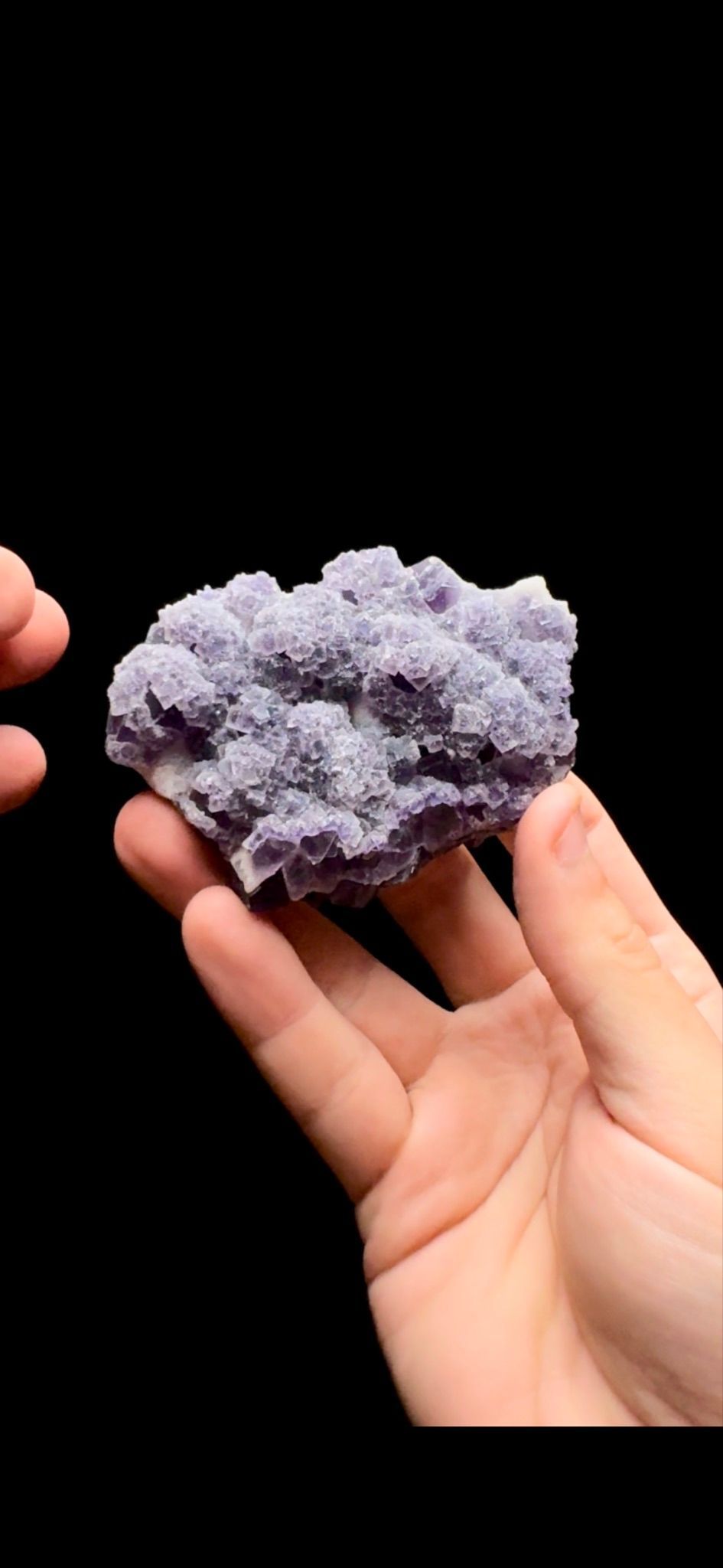 0428- Multigenerational Fluorite
