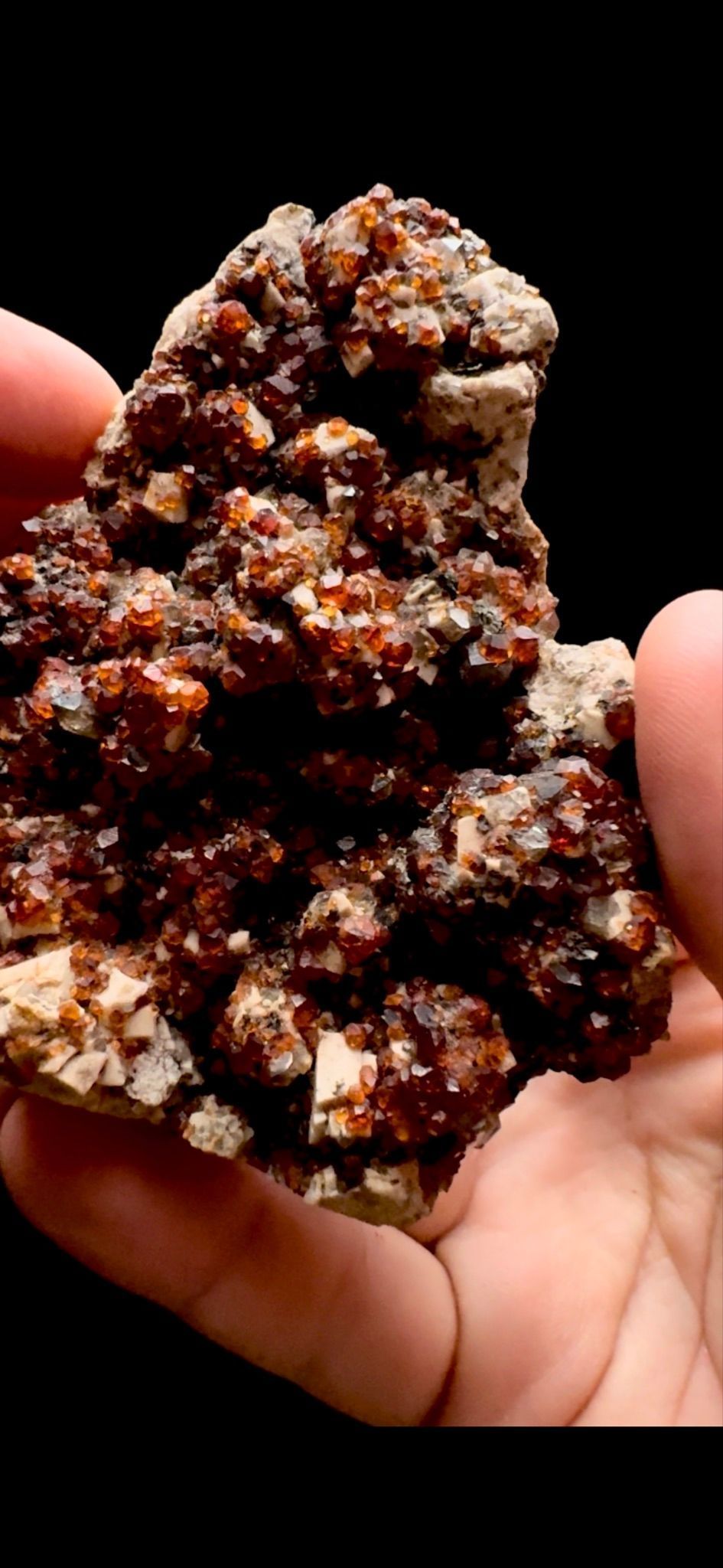 0315- Garnet on Smokey Quartz