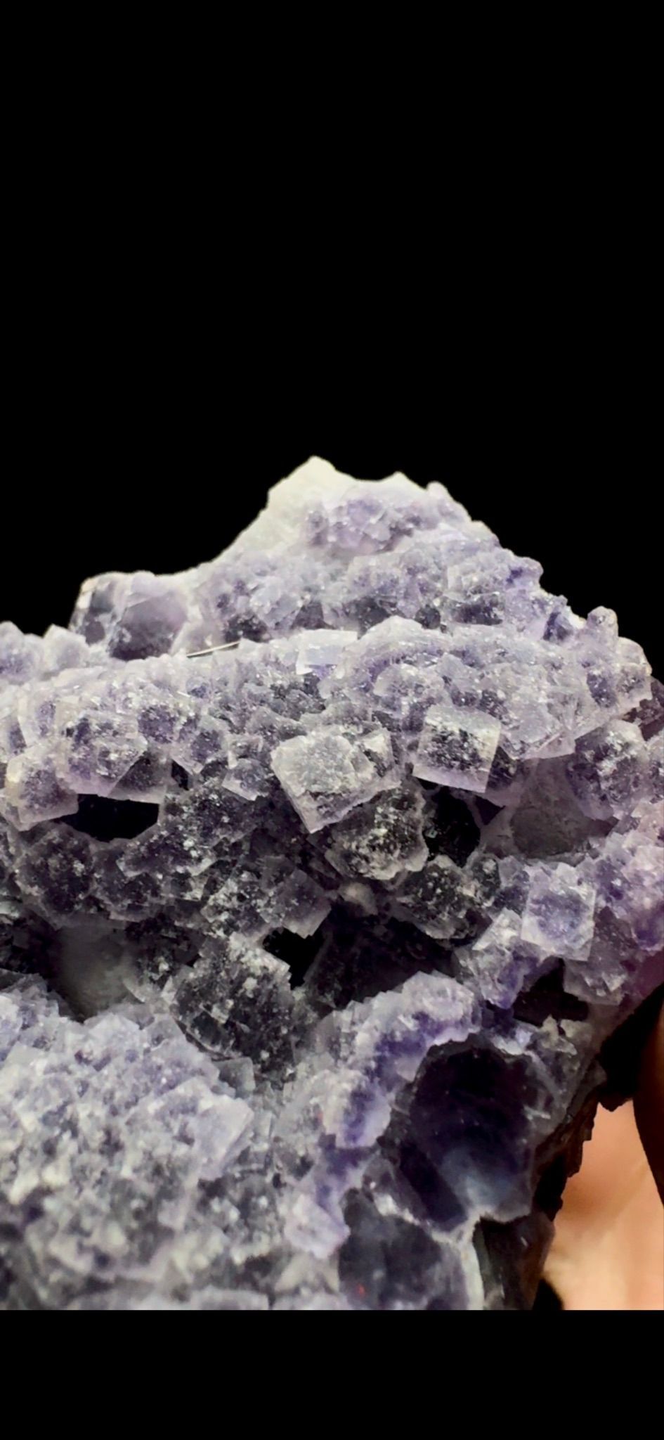 0428- Multigenerational Fluorite