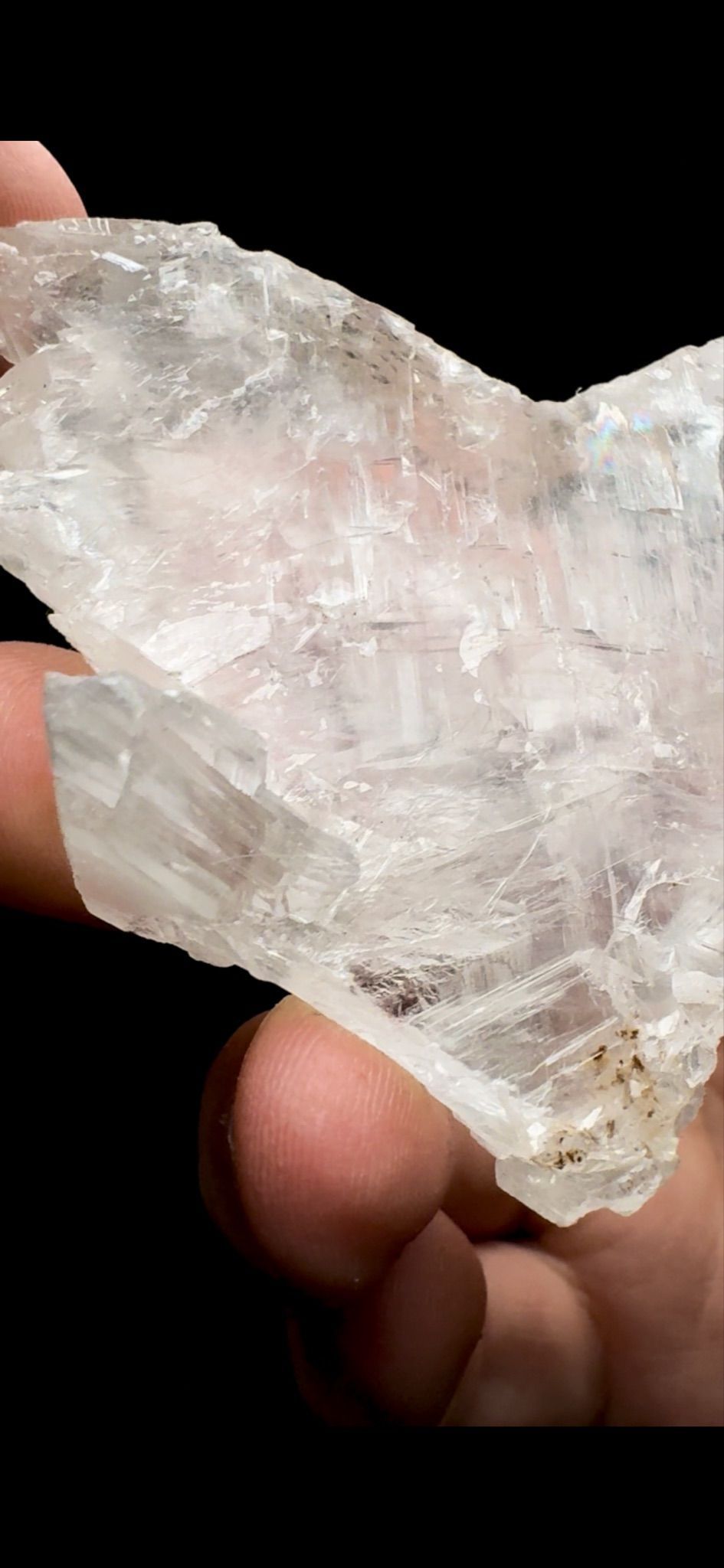 116- Fishtail Selenite