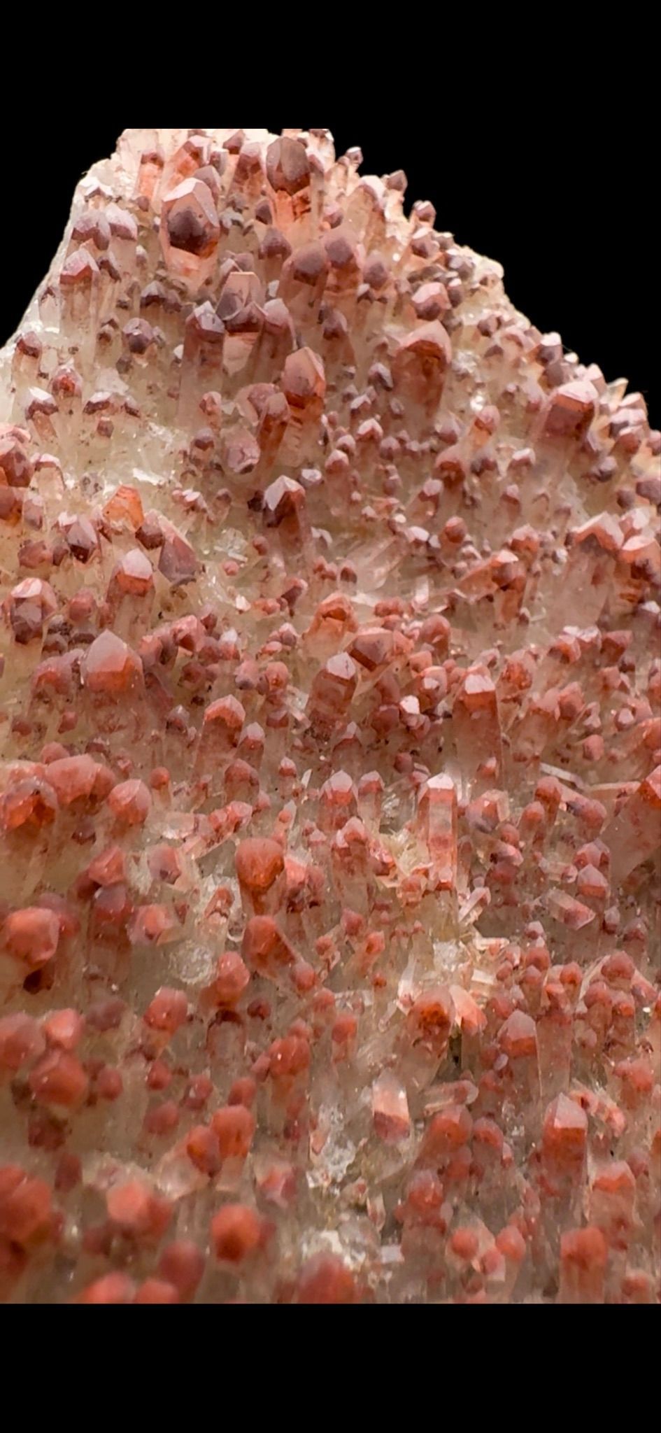 710- Red Quartz