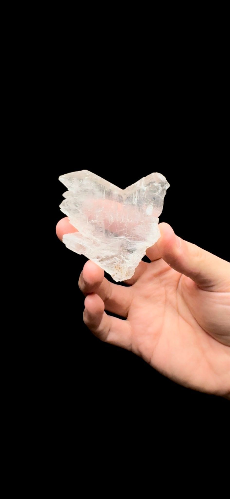116- Fishtail Selenite