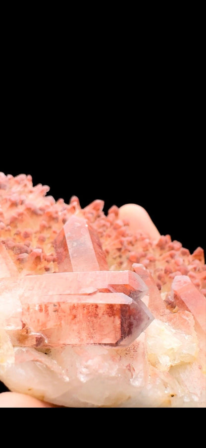 711- Red Quartz