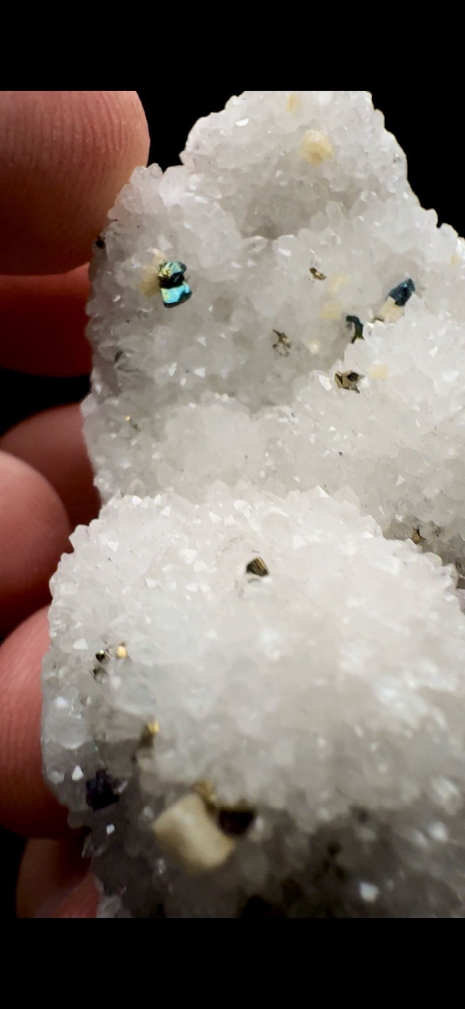 080- Pyrite on Quartz