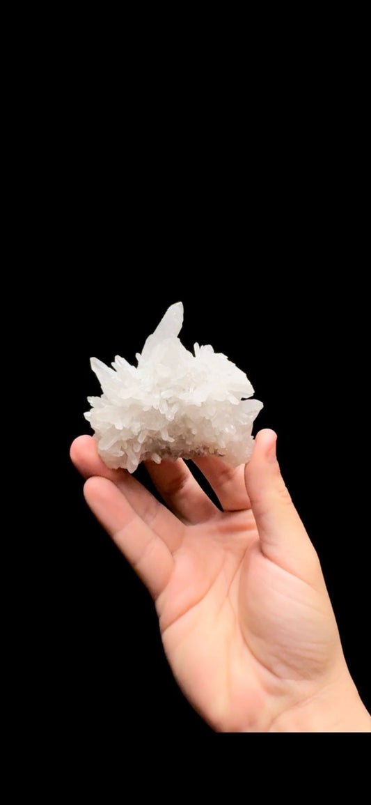 0485- Quartz
