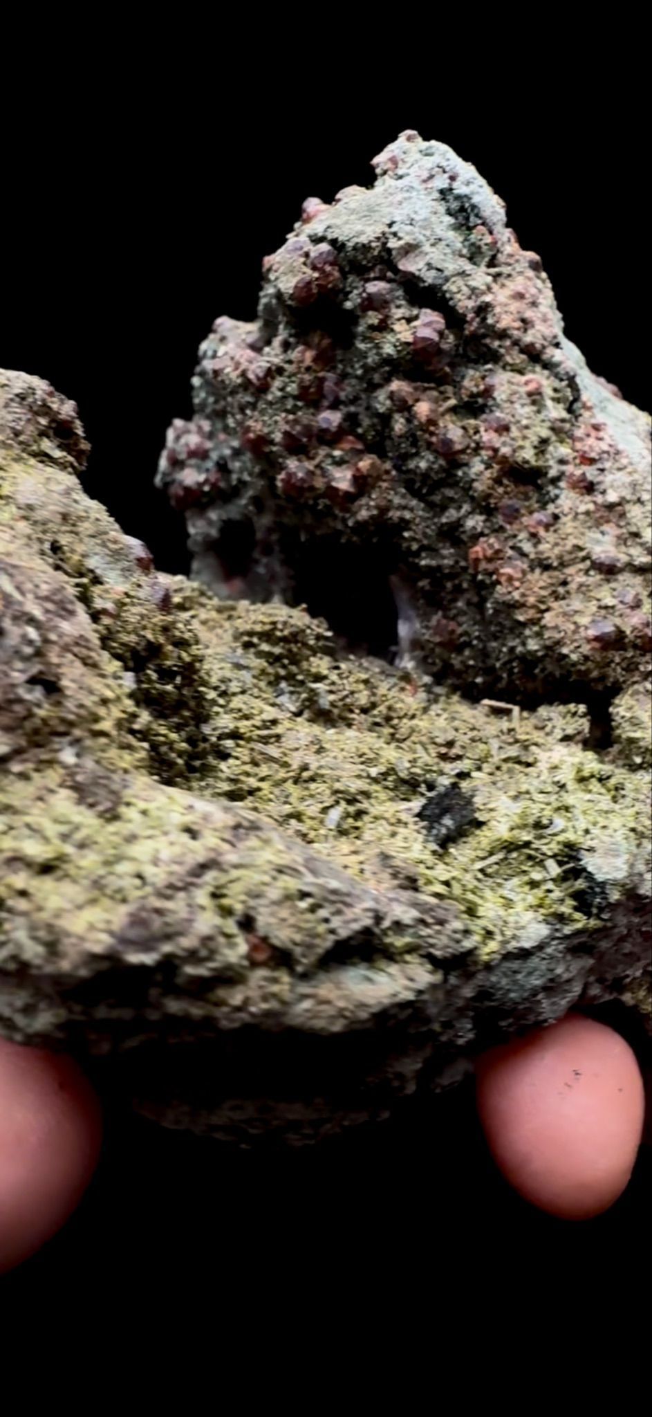 210- Epidote with Garnet