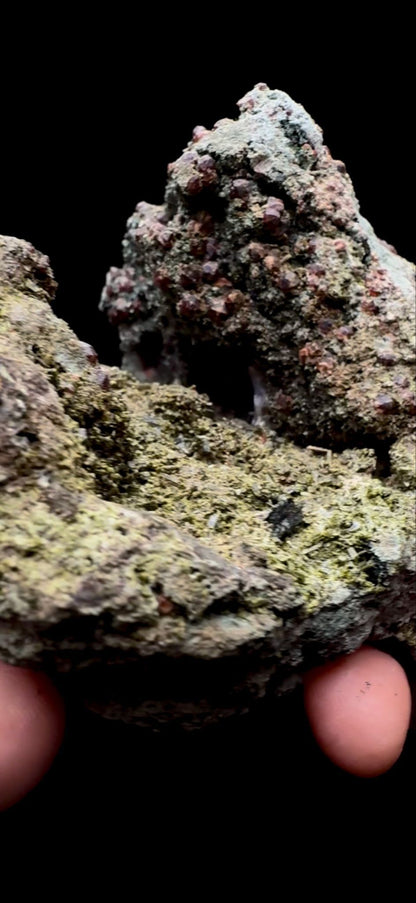 210- Epidote with Garnet