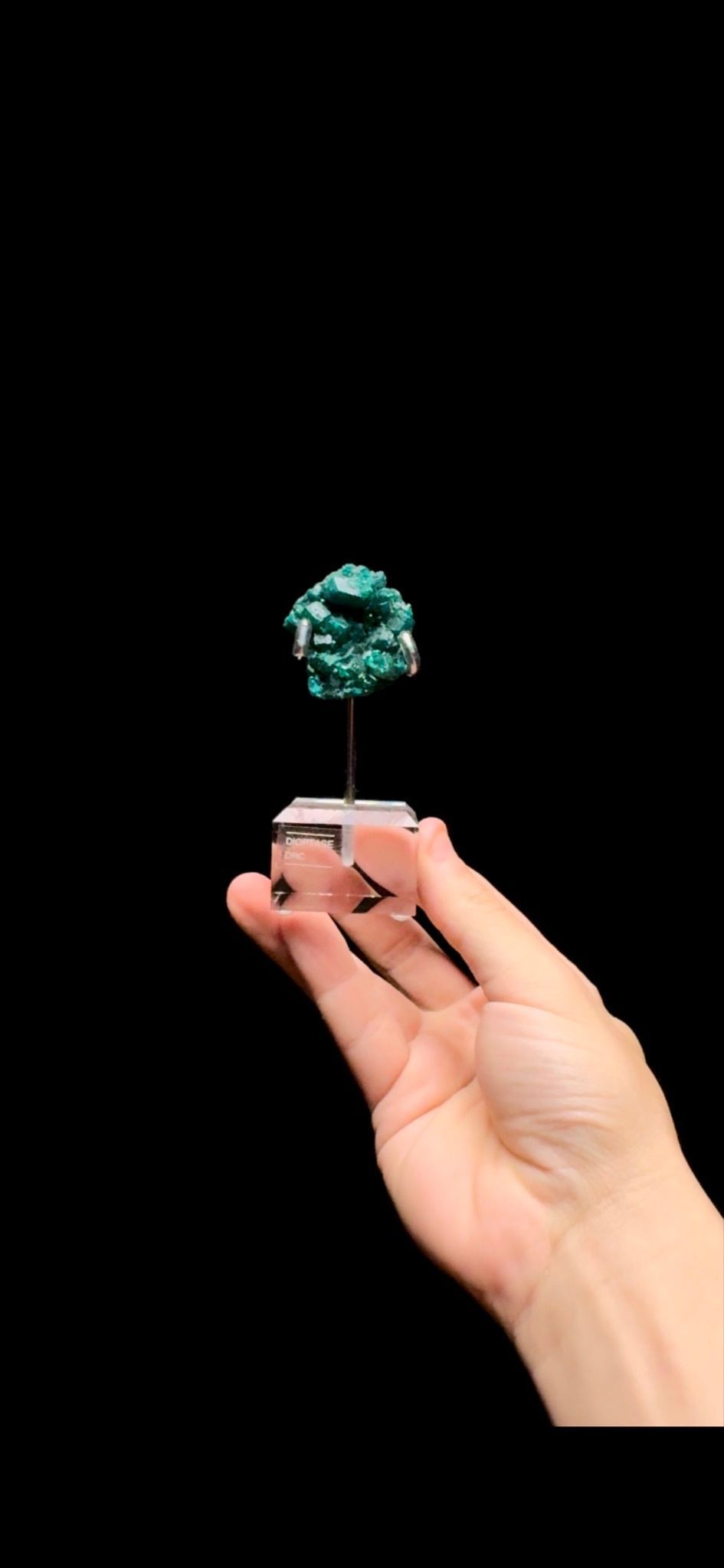 0445- Dioptase