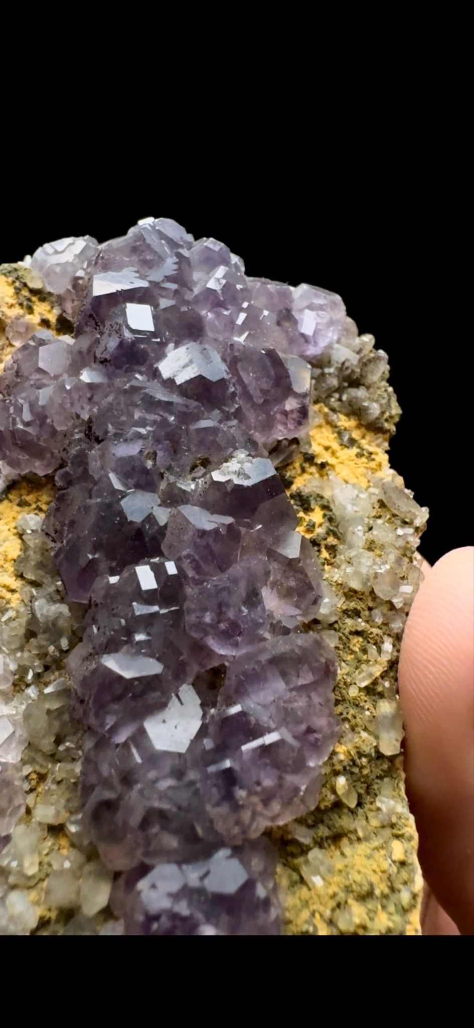 0472- Tanzanite Fluorite