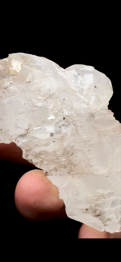 115- Fish Tail Selenite