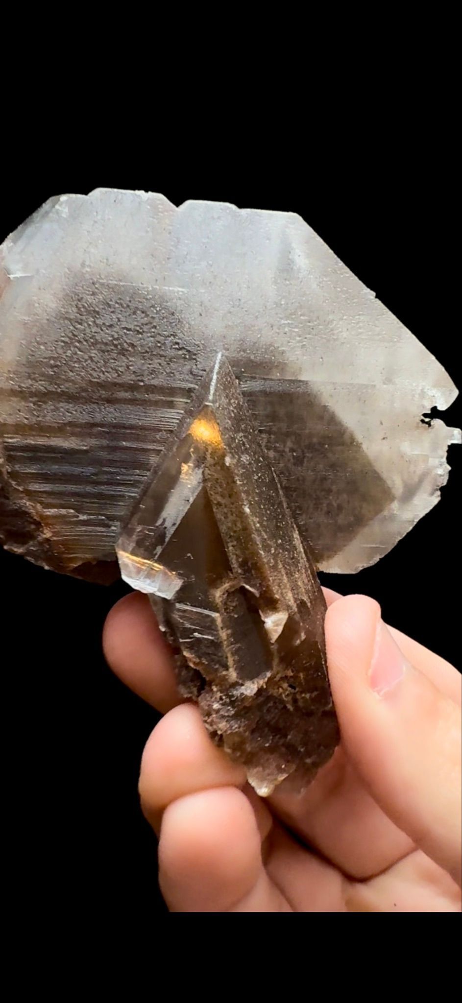 0363- Phantom Selenite