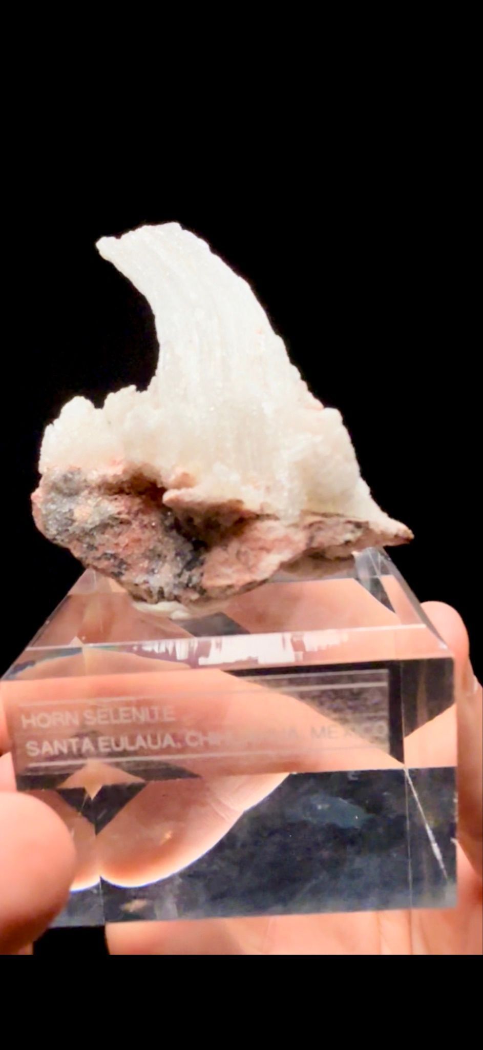 853- Horn Selenite